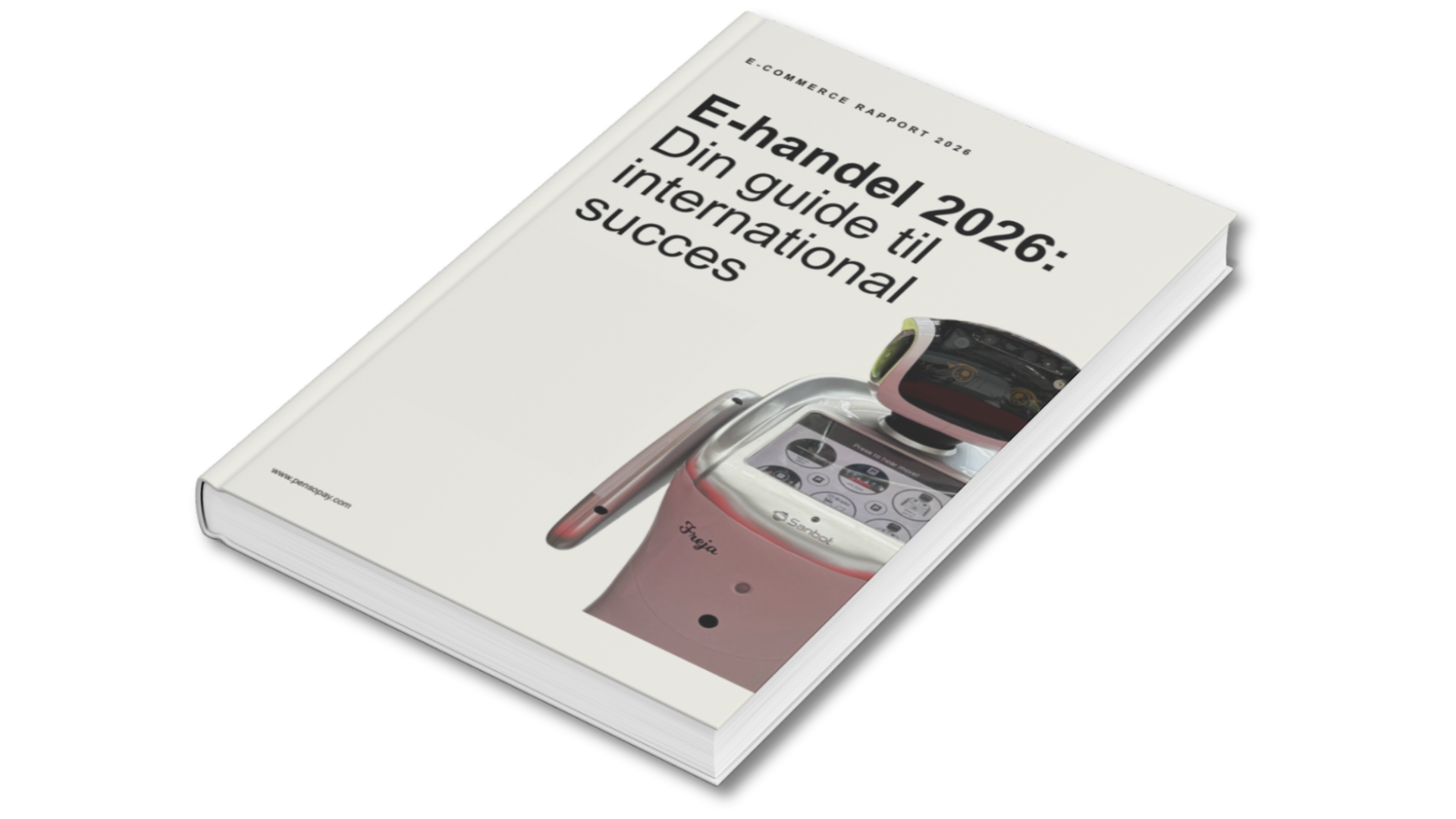 E-handel 2026: Din guide til international succes