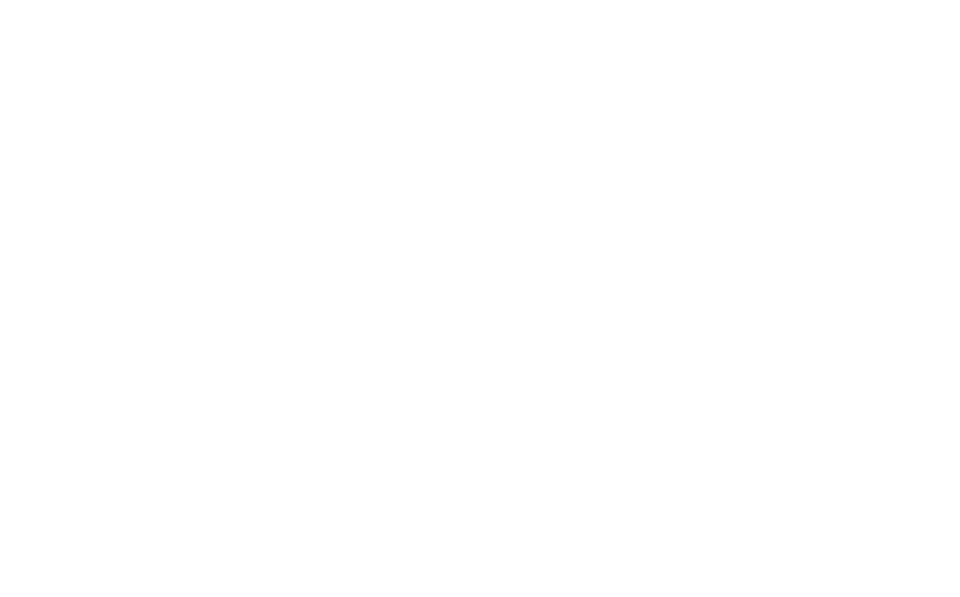 Payco logo white
