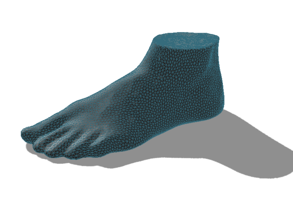 Zoles 3D-scanner din fod og giver ydre mål på din fod samt præcise mål for placeringen af dine led, sener og knogler.